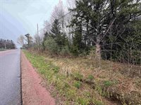 1 acre MOL MERRILL AVENUE, Wausau, WI 54401