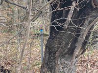 1 acre MOL MERRILL AVENUE, Wausau, WI 54401