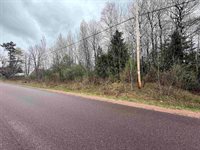 1 acre MOL MERRILL AVENUE, Wausau, WI 54401