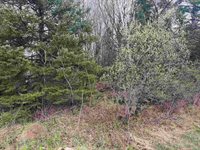 1 acre MOL MERRILL AVENUE, Wausau, WI 54401