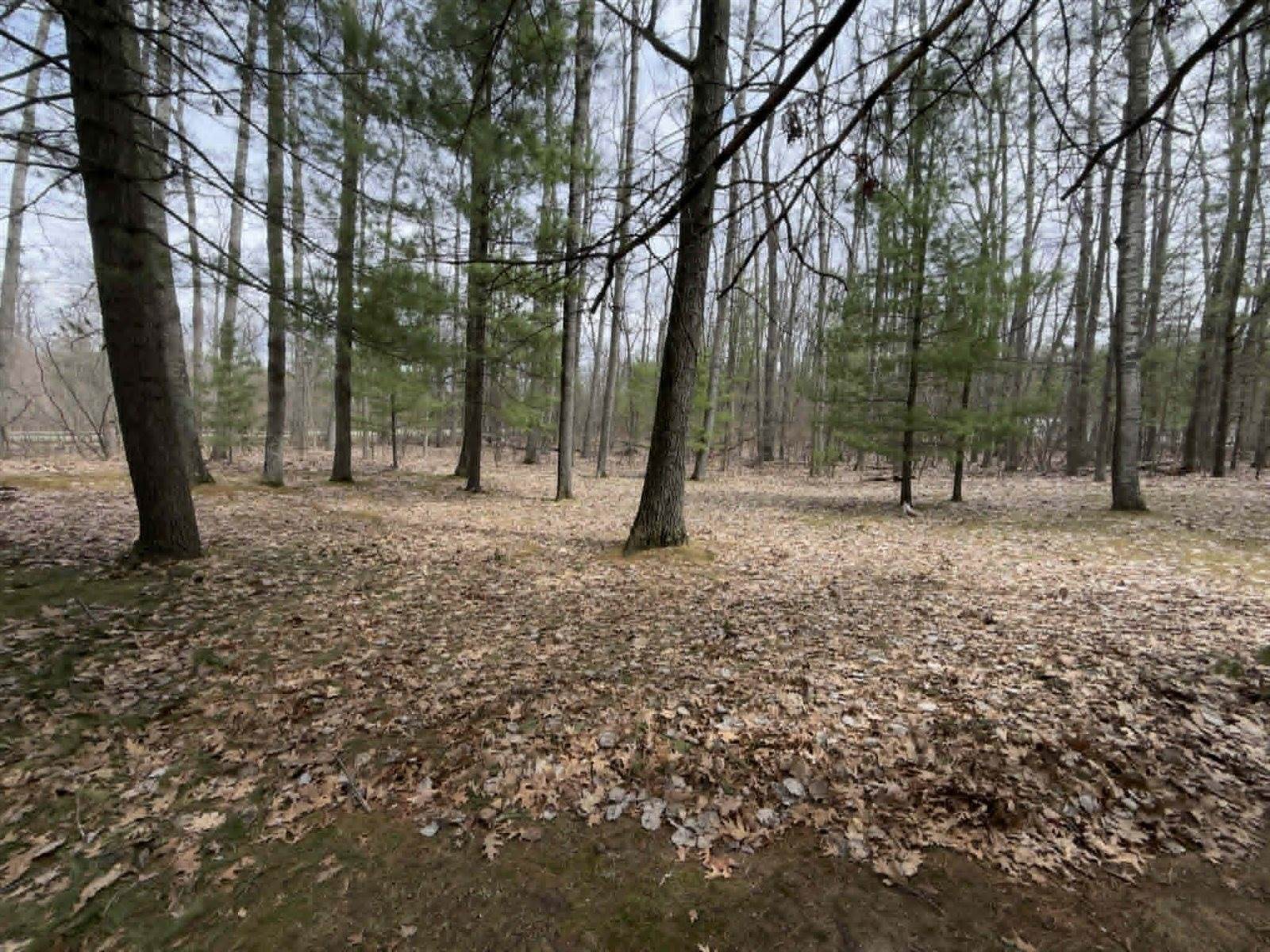 110 Vegas Court, Prudenville, MI 48651