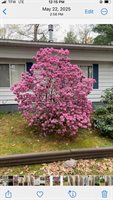110 Vegas Court, Prudenville, MI 48651
