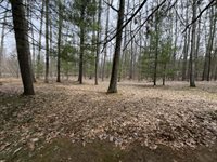 110 Vegas Court, Prudenville, MI 48651