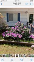 110 Vegas Court, Prudenville, MI 48651