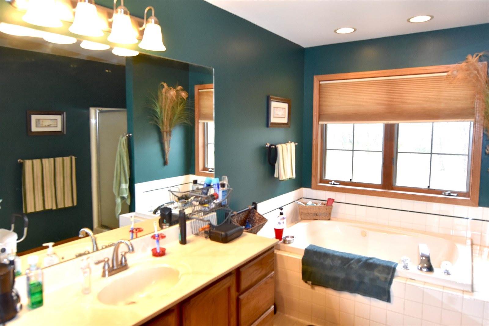 1609 Burch Circle, Necedah, WI 54646