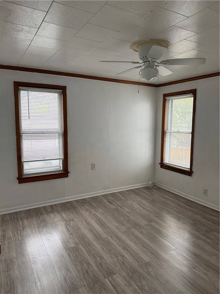 239 Weyl Street, Rochester, NY 14621
