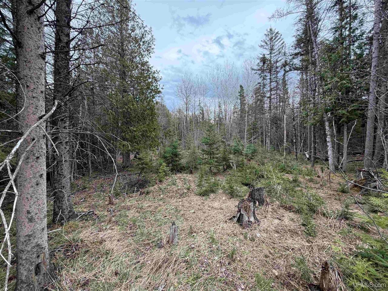 TBD OLD US 41 Road, Trenary, MI 49891