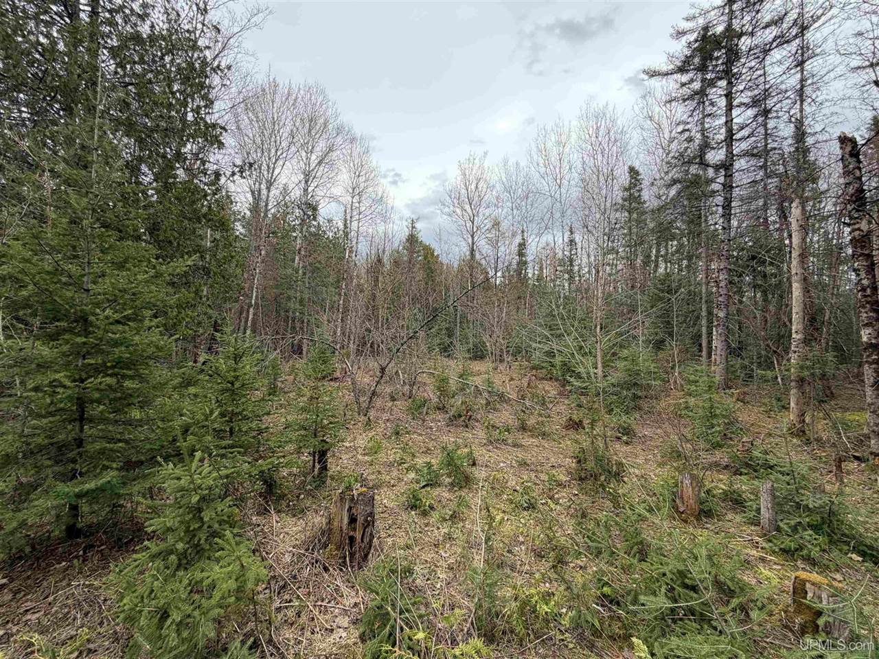 TBD OLD US 41 Road, Trenary, MI 49891