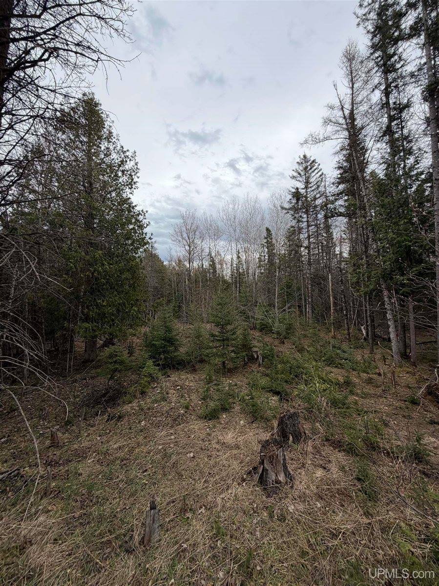 TBD OLD US 41 Road, Trenary, MI 49891