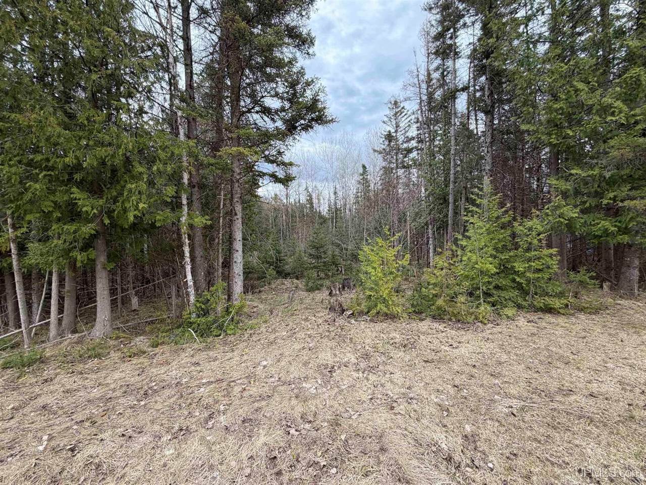 TBD OLD US 41 Road, Trenary, MI 49891