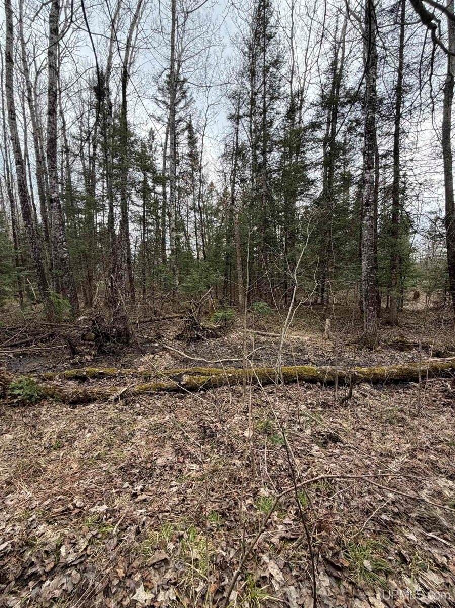 TBD OLD US 41 Road, Trenary, MI 49891