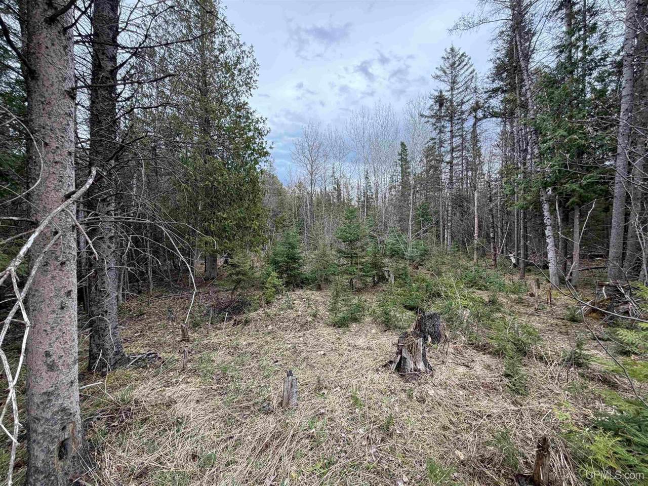 TBD OLD US 41 Road, Trenary, MI 49891