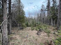 TBD OLD US 41 Road, Trenary, MI 49891
