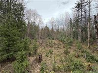 TBD OLD US 41 Road, Trenary, MI 49891