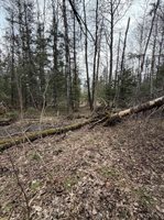 TBD OLD US 41 Road, Trenary, MI 49891