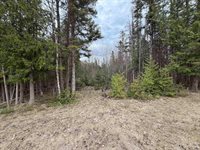 TBD OLD US 41 Road, Trenary, MI 49891