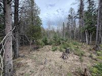 TBD OLD US 41 Road, Trenary, MI 49891