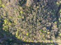 58 Mountain Azalea Drive, Swannanoa, NC 28778