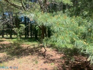 0 Laurel Haven Drive, Wicomico, VA 23184