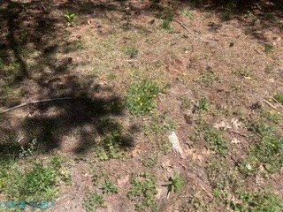0 Laurel Haven Drive, Wicomico, VA 23184