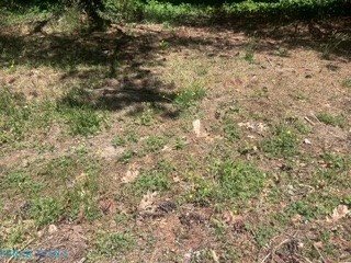 0 Laurel Haven Drive, Wicomico, VA 23184