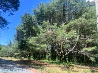 0 Laurel Haven Drive, Wicomico, VA 23184