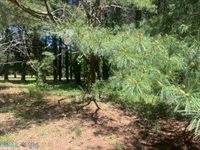 0 Laurel Haven Drive, Wicomico, VA 23184