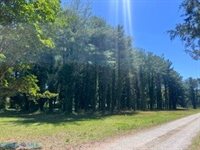 0 Laurel Haven Drive, Wicomico, VA 23184
