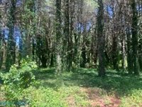 0 Laurel Haven Drive, Wicomico, VA 23184