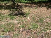 0 Laurel Haven Drive, Wicomico, VA 23184