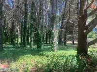 0 Laurel Haven Drive, Wicomico, VA 23184