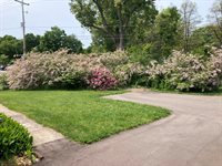 8949 Stadium Drive, Kalamazoo, MI 49009