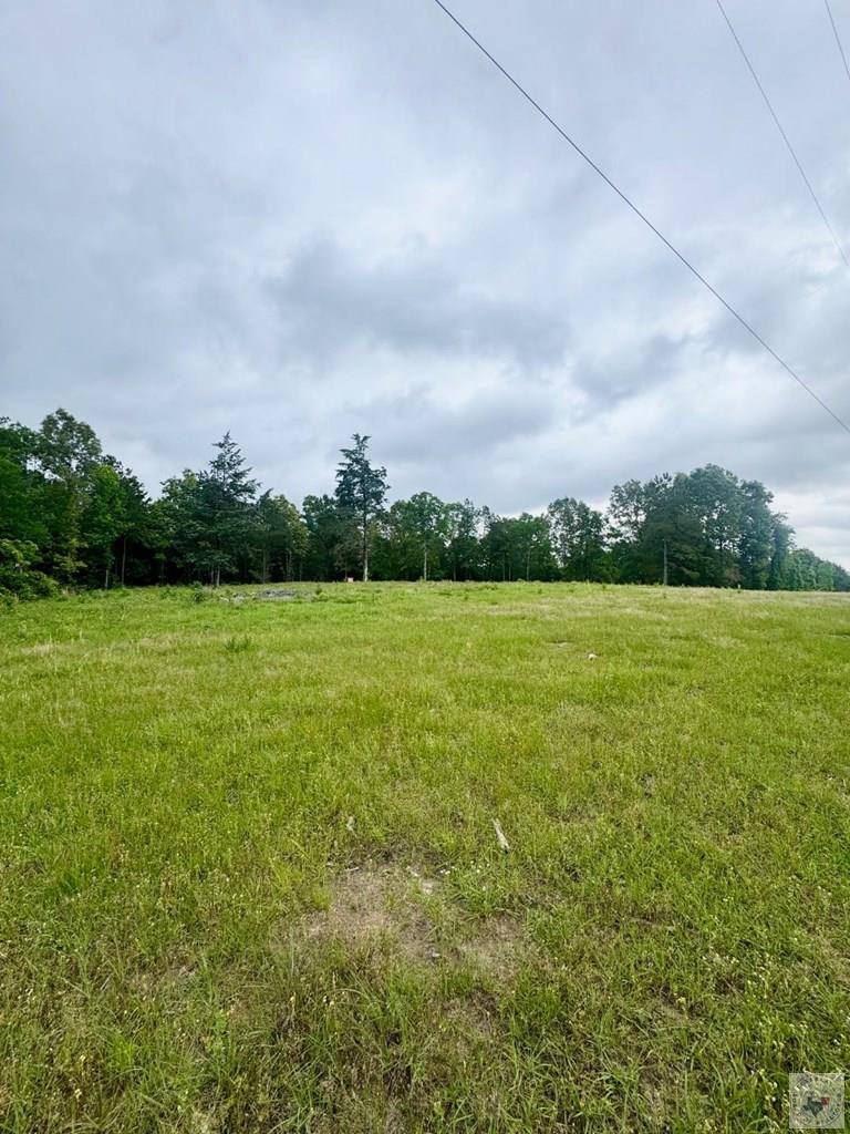 TBD 19.84 acres Country RD 1124 & 1127, Linden, TX 75563