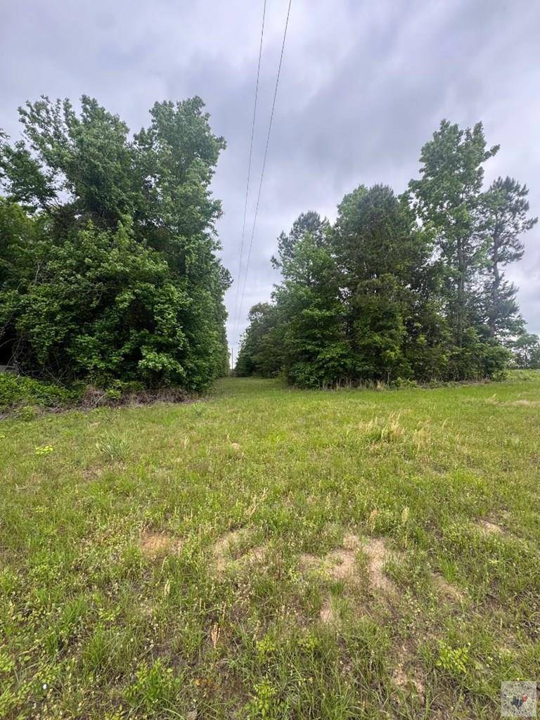 TBD 19.84 acres Country RD 1124 & 1127, Linden, TX 75563