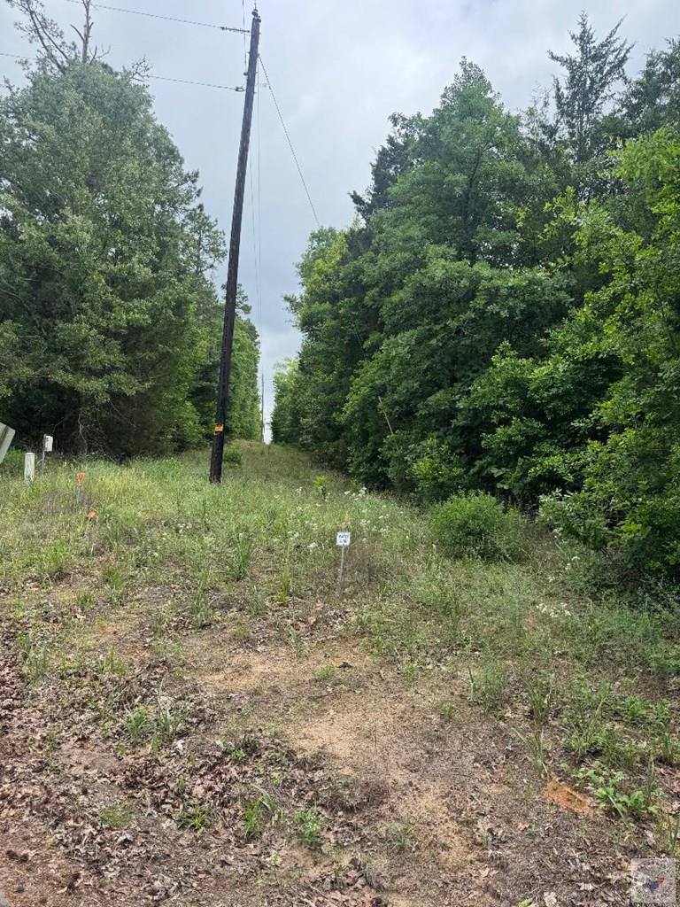 TBD 19.84 acres Country RD 1124 & 1127, Linden, TX 75563
