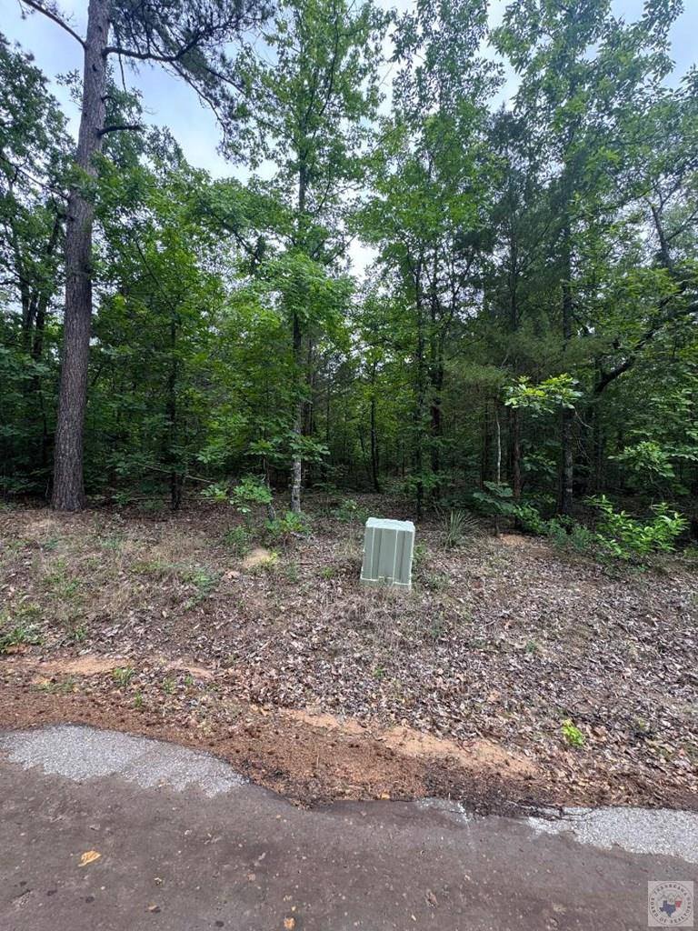 TBD 19.84 acres Country RD 1124 & 1127, Linden, TX 75563
