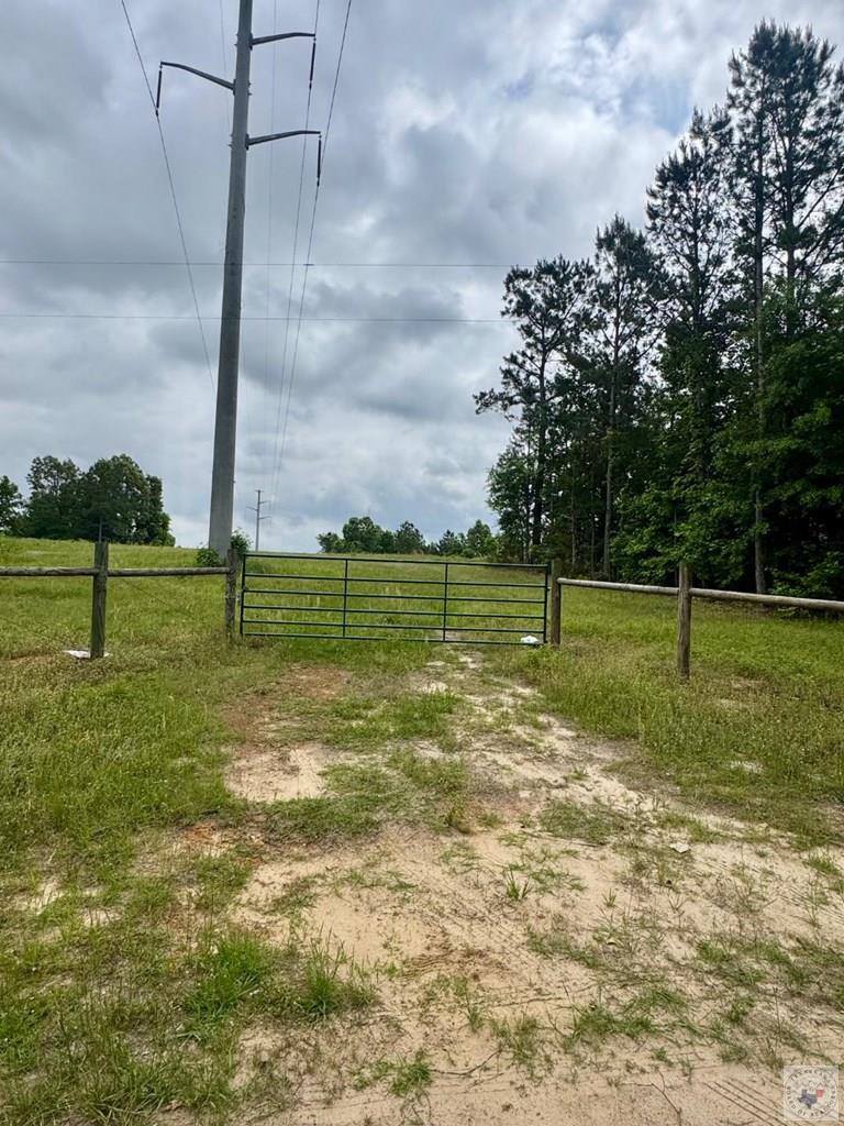 TBD 19.84 acres Country RD 1124 & 1127, Linden, TX 75563