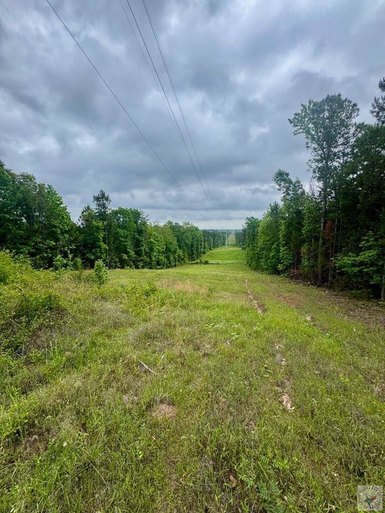 TBD 19.84 acres Country RD 1124 & 1127, Linden, TX 75563
