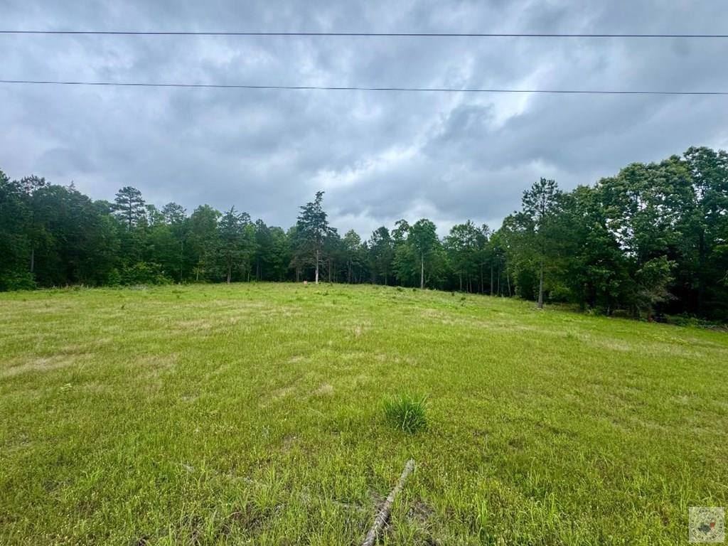 TBD 19.84 acres Country RD 1124 & 1127, Linden, TX 75563