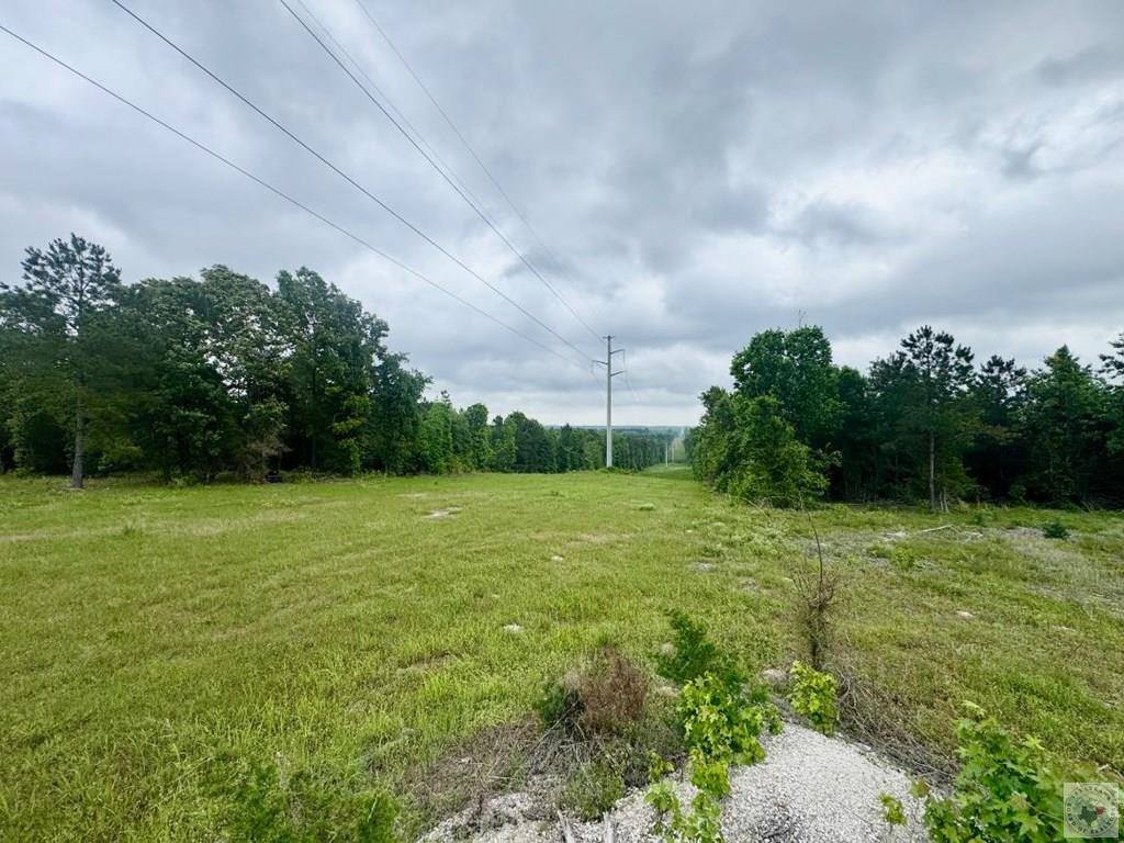 TBD 19.84 acres Country RD 1124 & 1127, Linden, TX 75563