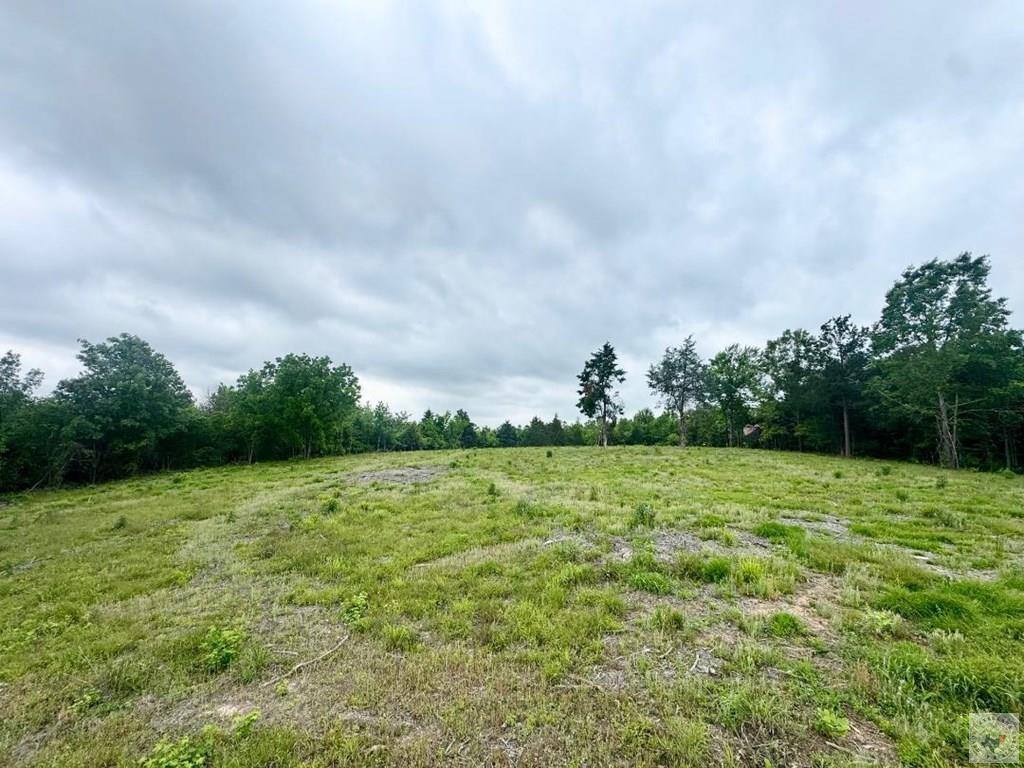TBD 19.84 acres Country RD 1124 & 1127, Linden, TX 75563