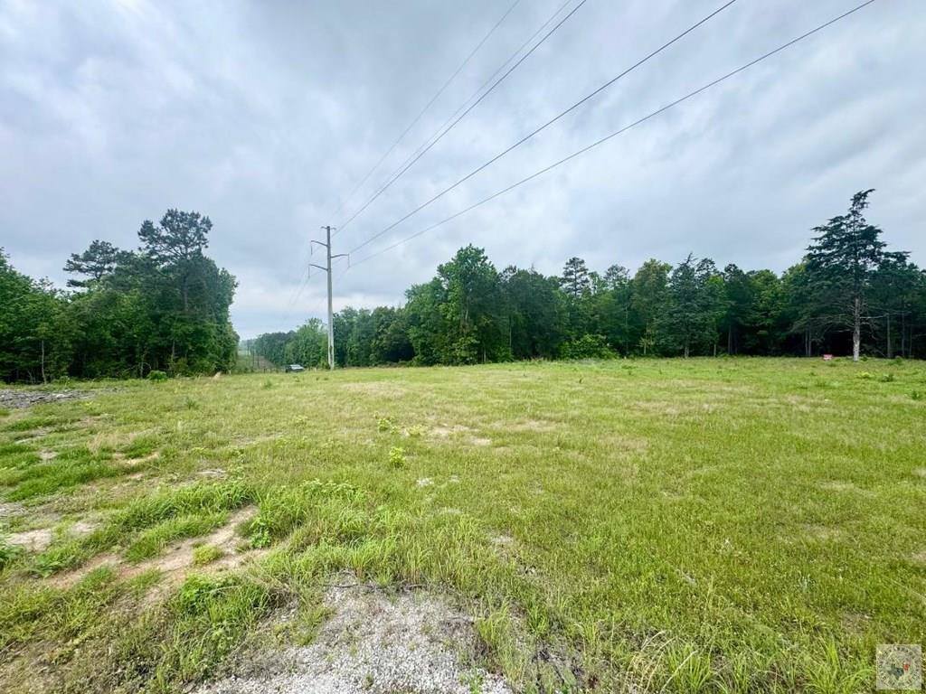 TBD 19.84 acres Country RD 1124 & 1127, Linden, TX 75563