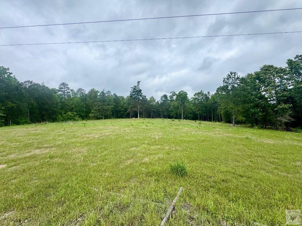 TBD 19.84 acres Country RD 1124 & 1127, Linden, TX 75563