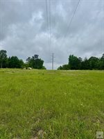 TBD 19.84 acres Country RD 1124 & 1127, Linden, TX 75563