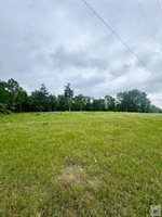 TBD 19.84 acres Country RD 1124 & 1127, Linden, TX 75563