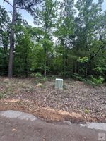 TBD 19.84 acres Country RD 1124 & 1127, Linden, TX 75563