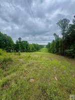 TBD 19.84 acres Country RD 1124 & 1127, Linden, TX 75563