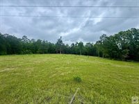 TBD 19.84 acres Country RD 1124 & 1127, Linden, TX 75563