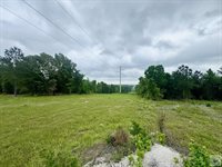 TBD 19.84 acres Country RD 1124 & 1127, Linden, TX 75563