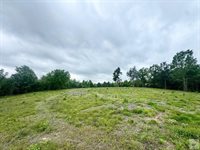 TBD 19.84 acres Country RD 1124 & 1127, Linden, TX 75563